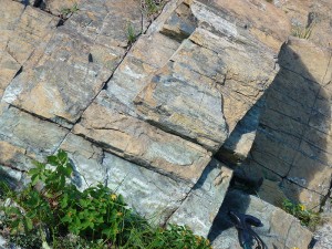 img-photo-id29-03
