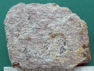 img-photo-id29-111
