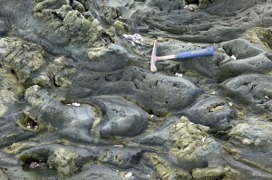 img-photo-id29-115