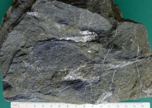 img-photo-id29-12