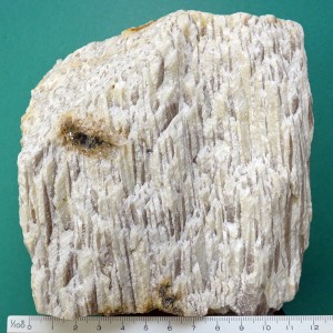 img-photo-id29-21