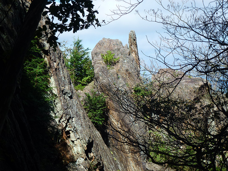 img-photo-id29-23