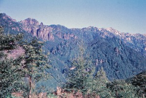 img-photo-id29-55