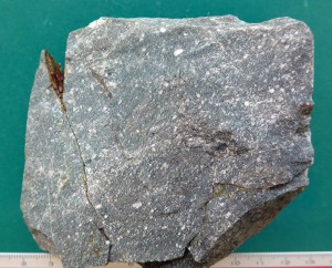 img-photo-id29-61