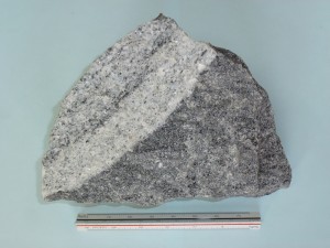 花崗岩質片麻岩