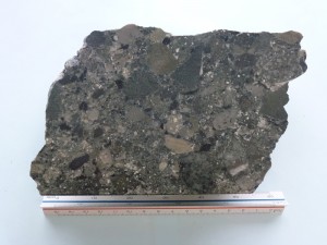 西オーストラリア・イルガン地域の含金礫岩