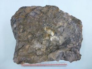 南部アフリカ・ジンバブエ地域の含金礫岩