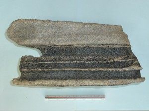 花崗岩質片麻岩(白）と角閃石片麻岩(黒）の互層