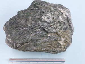 角閃石(アクチノ閃石)