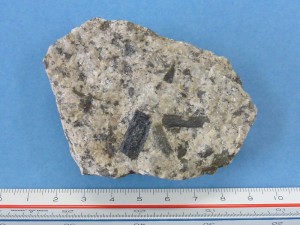 自形の角閃石を含む花崗閃緑岩