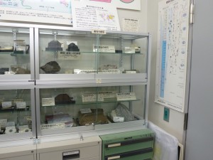 先カンブリア時代の岩石