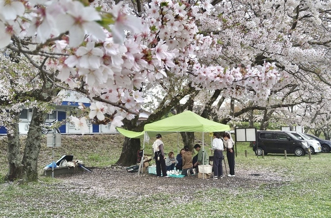 2024hanami.jpg