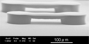 微小生体機械学