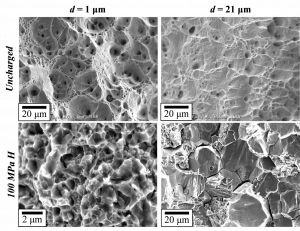 粒径が異なる材料での水素チャージと未チャージ材の破面
