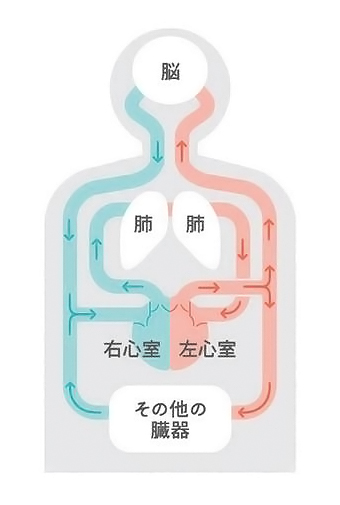図1