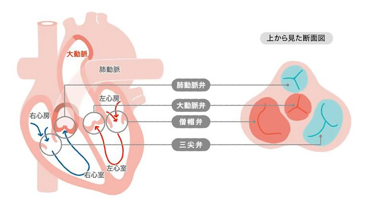 図2
