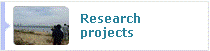 Research project