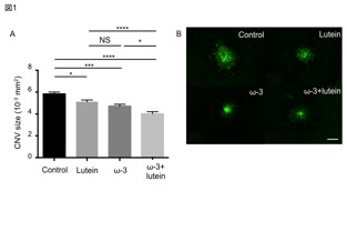 :PLOSOne 柳井 概略図1.pdf